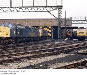 GGR0488C