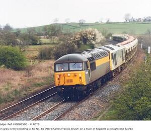 HOD0050C