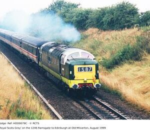 HOD0079C