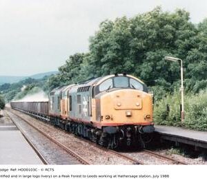 HOD0103C