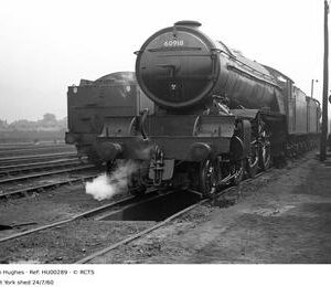 HU00289