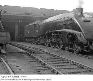 HU00295