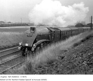 HU00412