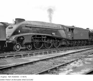 HU00493