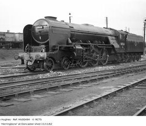 HU00494