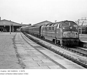 HU00531