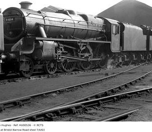 HU00536