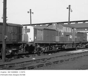 HU00800
