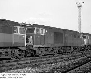 HU00831
