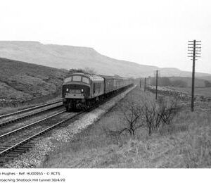 HU00955