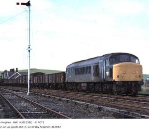 HU01036C