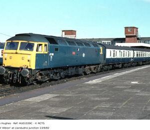 HU01039C