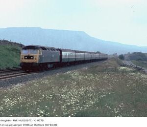 HU01097C