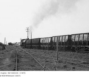 HU01135