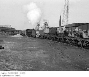 HU01219