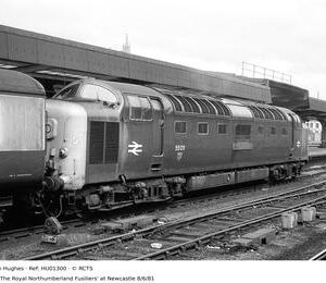 HU01300