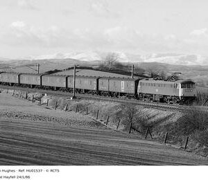 HU01537