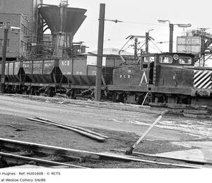 HU01608