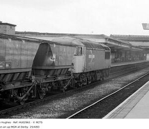 HU02961