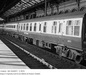 HU03077
