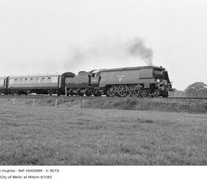 HU03099