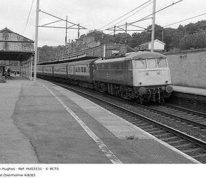 HU03131
