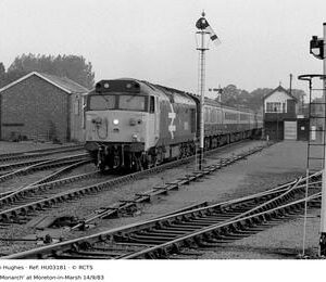 HU03181