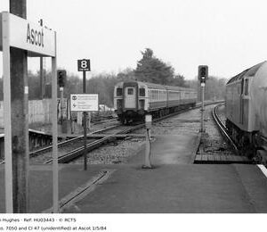 HU03443