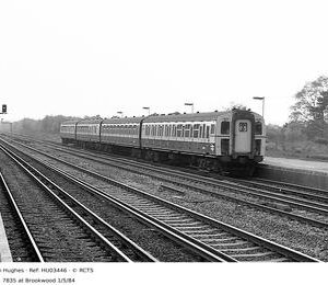 HU03446