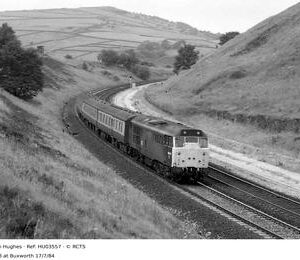 HU03557