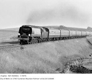 HU03651
