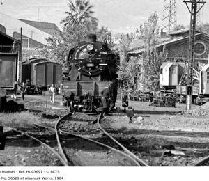 HU03691