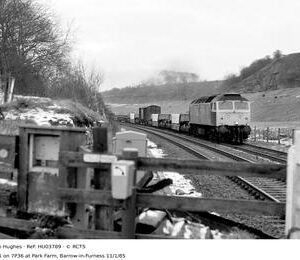 HU03789