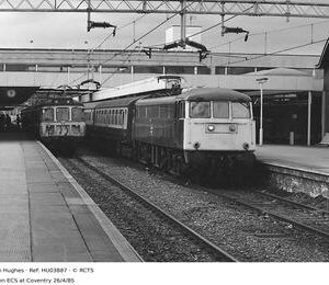 HU03887