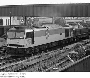 HU03996