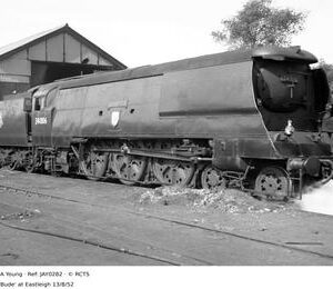 JAY0282