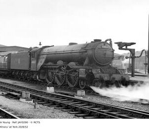 JAY0290
