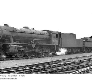JAY0528