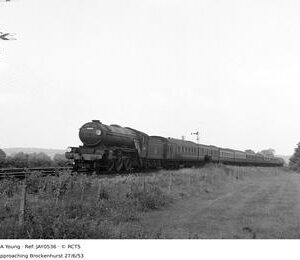 JAY0536