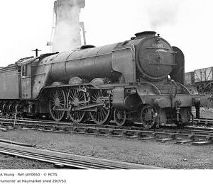 JAY0650