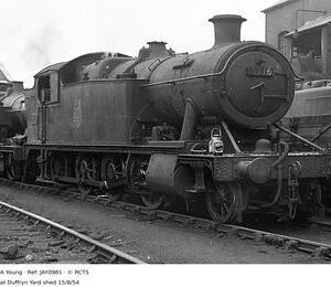 JAY0981