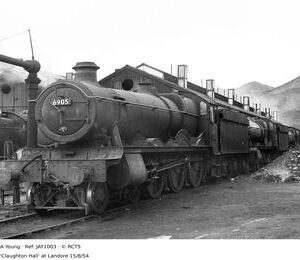 JAY1003