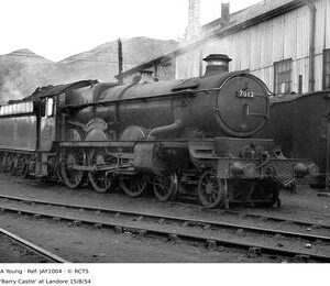 JAY1004