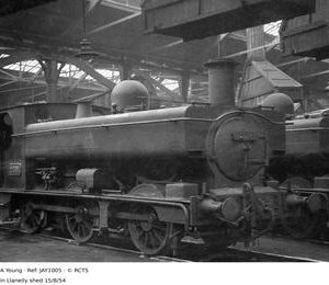 JAY1005