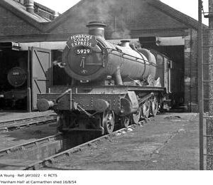 JAY1022