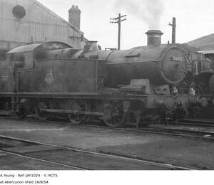 JAY1024
