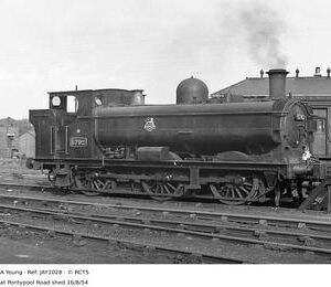 JAY1028