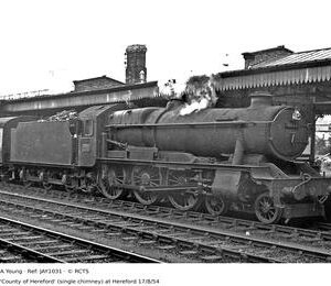 JAY1031