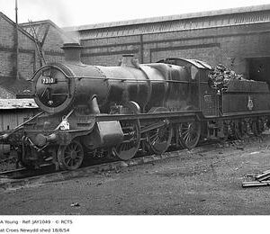 JAY1049