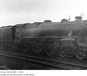 JAY1065